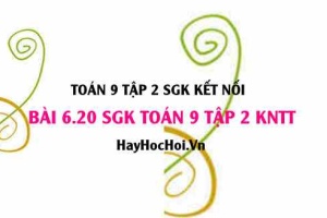 Bài 6.20 SGK Toán 9 tập 2 Kết nối tri thức